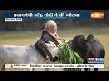 PM Modi Celebrate Makar Sakranti: प्रधानमंत्री मोदी ने मकर संक्रांति पर की गौसेवा, Video हुआ Viral  - 00:30 min - News - Video