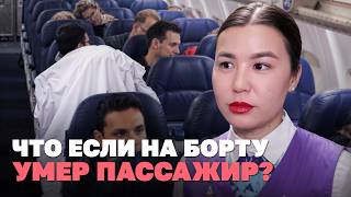 Сели стюардессе на хвост и пролетели полстраны