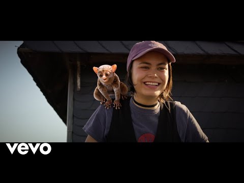 Die Schule der magischen Tiere - Ich renn nicht mehr weg