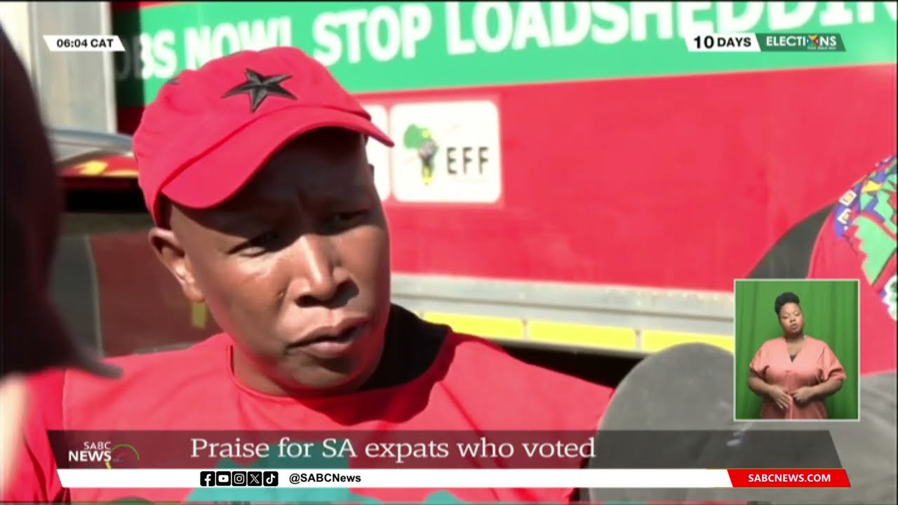 2024 Elections | Praise for SA expats who vote