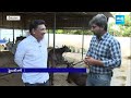 Grandhi Srinivas About Pawan Kalyan No Confidence On Bhimavaram | AP Elections 2024 | @SakshiTV  - 07:54 min - News - Video