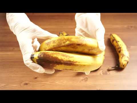 바나나 오래 보관하는 방법! 냉동하지 않고 10일도 거뜬^^(香蕉,banana)