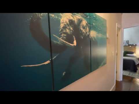 Property video