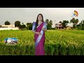 అధిక దిగుబడినిచ్చే జగిత్యాల వరి రకాలు | Huge Profits With Jagtial Paddy Varieties | Matti Manishi  - 08:29 min - News - Video