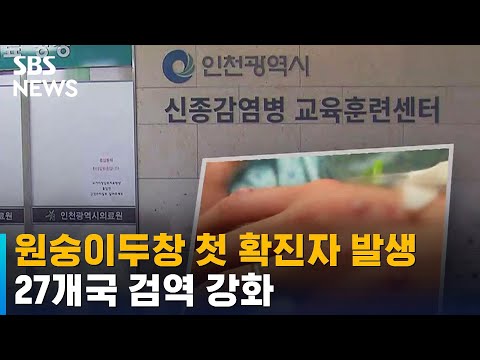 원숭이두창 첫 확진자 발생…27개국 검역 강화 / SBS