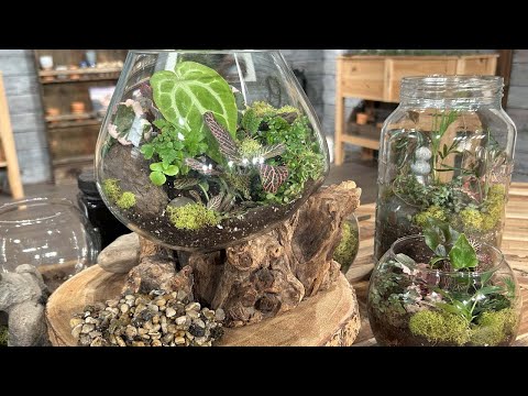 screenshot of youtube video titled Making Terrariums | Making It Grow