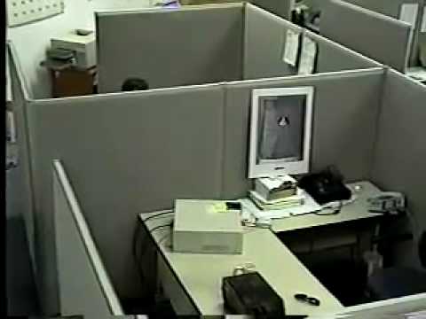 Bad Day at the Office (original viral video)