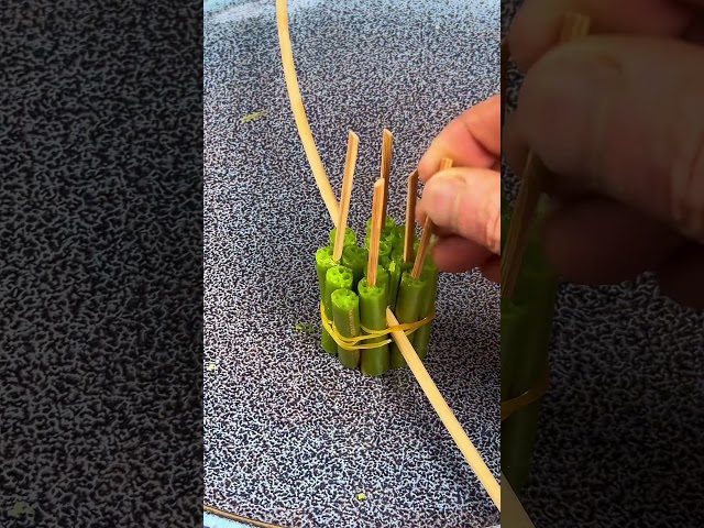 荷花之美，出淤泥而不染。#diy #flowers
