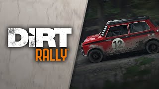 DiRT Rally - Flying Finland