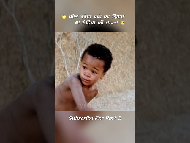 😳 कौन बचेगा बच्चे के दिमाग या भेड़िये की ताकत? #shorts