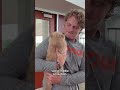 Bowling Green football team is purring for Pudge the cat - 00:59 min - News - Video