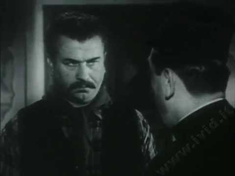 Don Camillo'