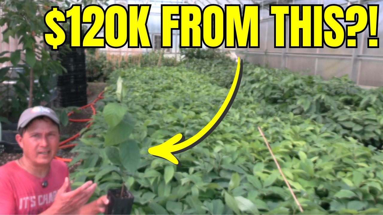 Quit Your Job? How One Man Makes $120k/Year on a 1/3 Acre Farm