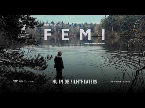 Femi'