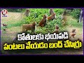 Farmers Fear To Cultivate Fruits And Vegetables Due To Monkey Menace  | Khammam | V6 News