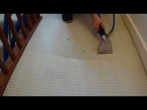 carpet steam cleaning london - Cleaner Cleaner Ltd 0800 6126 436