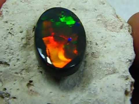 sle black opal palsu videomoviles sle black opal palsu videomoviles