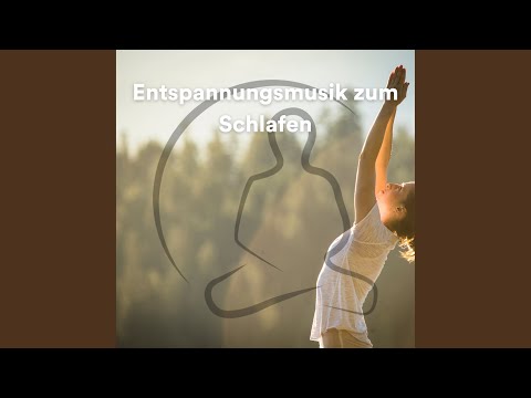 Entspannungsmusik zum Schlafen, Pt. 47