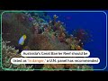 Great Barrier Reef should be on in danger list, UN panel says