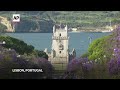 Lisbon painted by lilac flower blossom  - 02:02 min - News - Video
