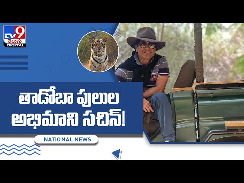Master blaster Sachin visits Tadoba-Andheri Tiger Reserve Master blaster Sachin visits Tadoba-Andheri Tiger Reserve