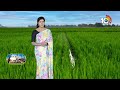 వరిలో తెగుళ్ల నివారణ | Prevention of Pests in Rice | Paddy Cultivation | Matti Manishi | 10TV - 06:04 min - News - Video