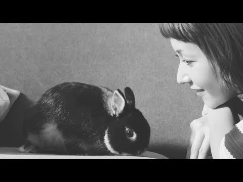 木村カエラ - BREAKER Music Video(Short Ver.)