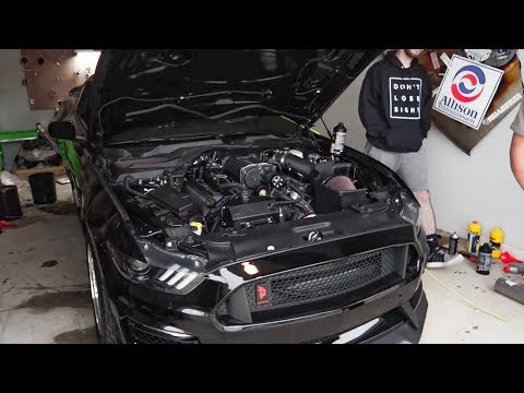 FINALLY! We found the problem! 2 Months Later...