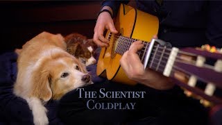 Coldplay - The Scientist (Fingerstyle Guitar Cover)