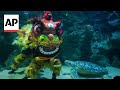 Underwater Lion Dance wows visitors at Malaysian aquarium before Lunar New Year