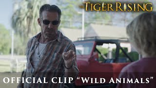 THE TIGER RISING l Official HD C