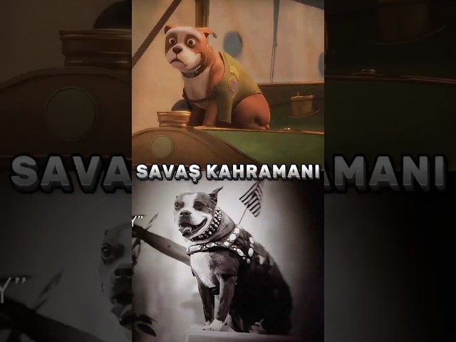 Çavuş Stubby: Gerçek Kahramanlık Hikayesi | Sgt. Stubby 2018