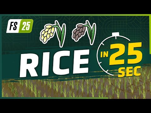 Rice Farming in Farming Simulator 25