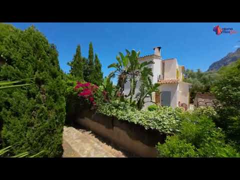 Property video