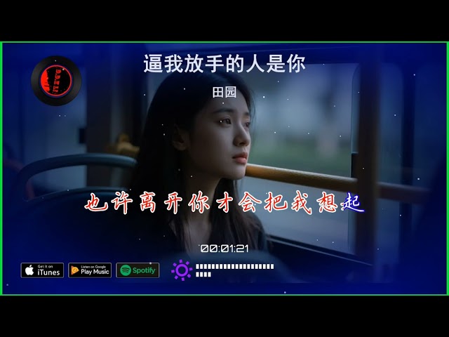 2025華語網絡流行音樂 ||《逼我放手的人是你》|| 田園 || 動態歌詞