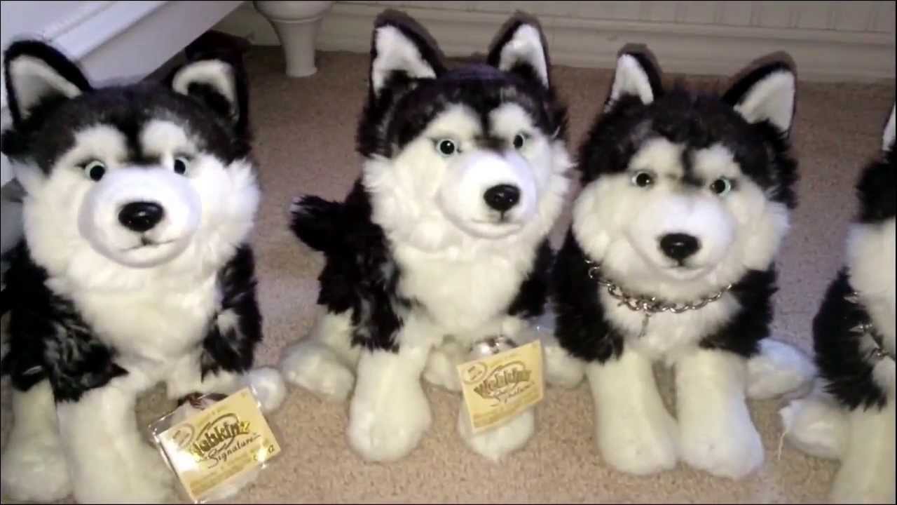 webkinz signature husky