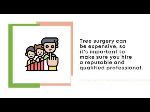 There are Many Benefits to Hiring a Tree Surgeon
