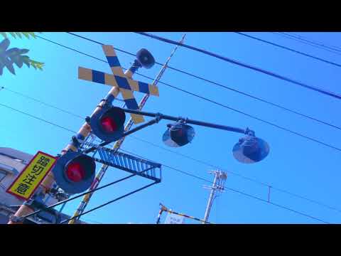 SAPPY-demo