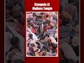 Mathura Stampede | Devotees Injured During Stampede At Pre-Holi Event At Mathura Temple  - 00:59 min - News - Video