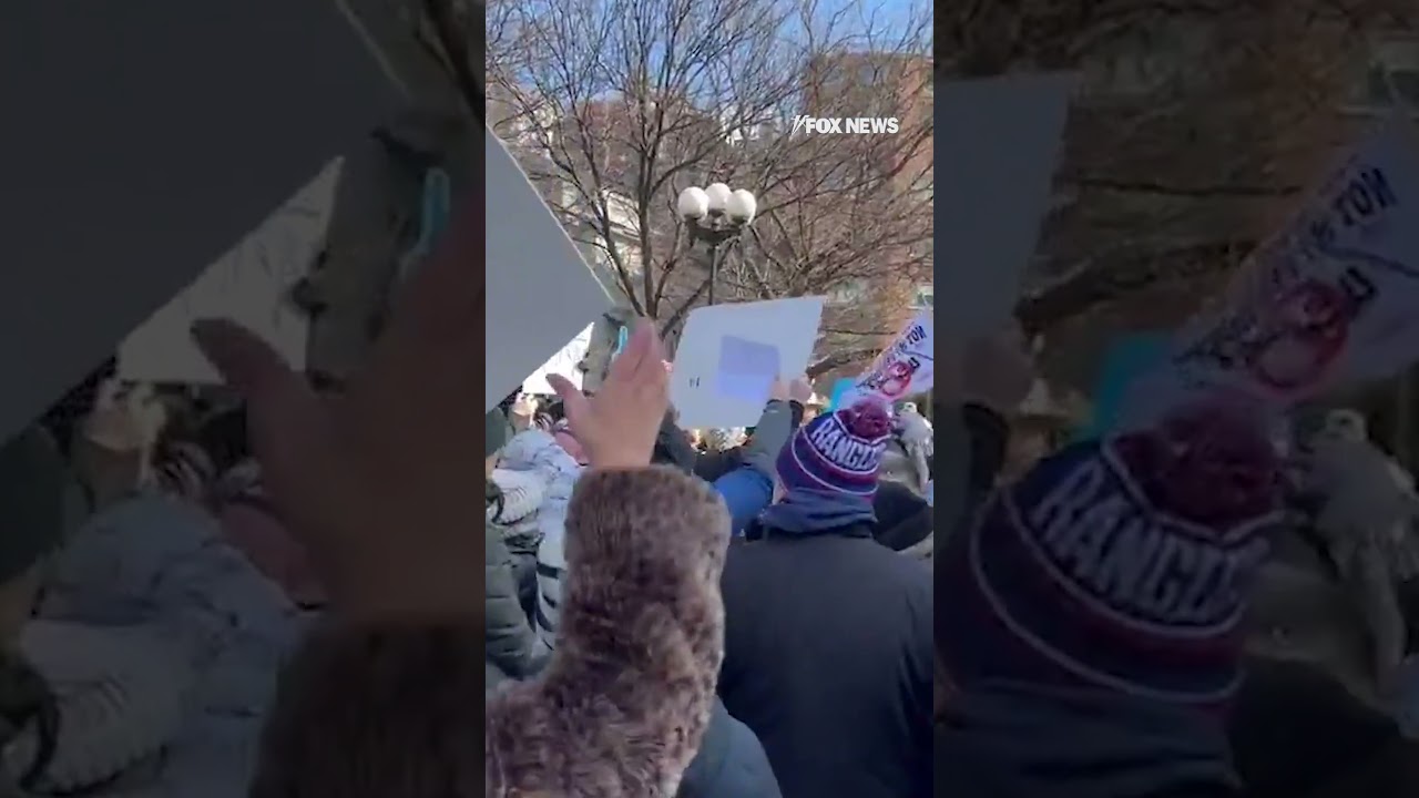 NYC protesters chant "stop the coup" on Presidents Day