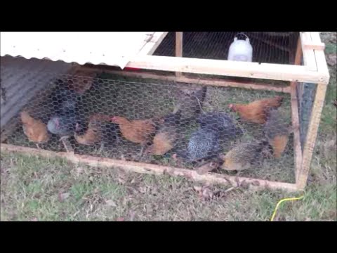 Making A Chicken Tractor Like Joel Salatin's ~ Pastured Poultry