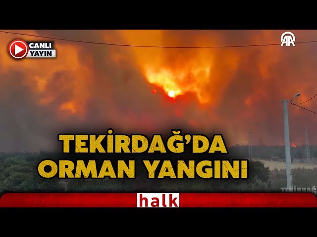 Tekirdağ Şarköy'de çıkan ve ormanlık alana sıçrayan yangına ekipler müdahale etti (15 Temmuz 2025)