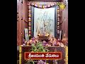 Sri Jayanthi Utsavam at Statue of Equality & Jiva Gosala | HH Chinnajeeyar Swamiji