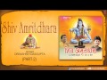 Shiv Amritdhara Part 2 By Debashish Dasgupta
