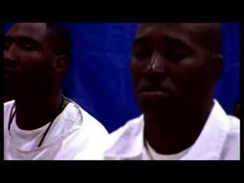 The Dhamma Brothers'