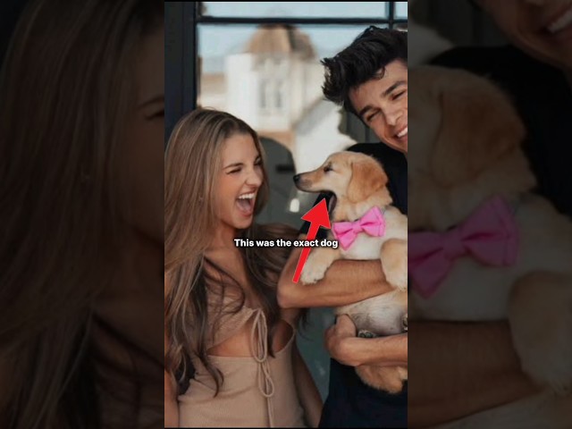Lexi gave her a feast #lexirivera #brentrivera #shorts