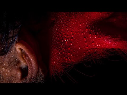 SEVDALIZA - REPLACEABLE
