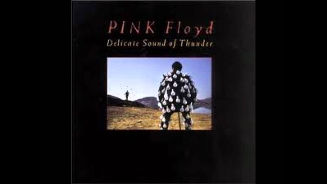 On the turning away. Pink Floyd - on the turning away delicate Sound Thunder Pedal.