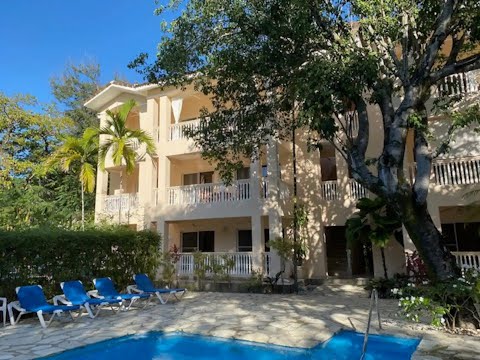 Property video
