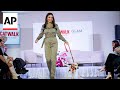 Dog catwalk show aims to find homes for sheltered canines